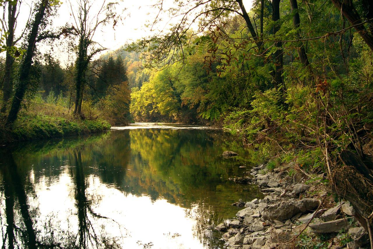 Gasthof Dangl Wimpassing an der Pielach Exteriör bild